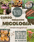 Curso micología básica 2025